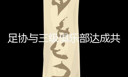 中甲、乐部召开视频研讨会